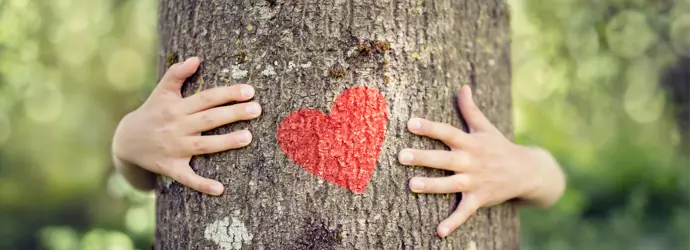 Biologisch abbaubare Fasern und weniger CO₂: Unsere innovativen Produkte